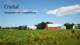  Presentation with potato - Cool new PPT theme with barn on the potato farm backdrop and a  colored foreground