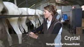  Presentation with barn - Colorful slide set enhanced with barn ready for goat backdrop and a dark gray colored foreground