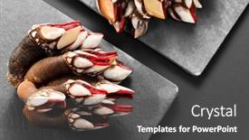  Presentation with black sea - Slides featuring barnacles-goose-neck-barnacle-percebes background and a dark gray colored foreground