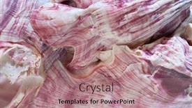  Presentation with sea shell - Presentation theme with barnacles-shells-on-the-beach background and a coral colored foreground