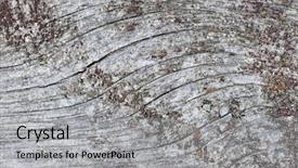  Presentation with woodgrain - Colorful PPT theme enhanced with barnwood - gray wooden background of weathered backdrop and a light gray colored foreground