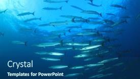 Presentation with fish - Beautiful PPT theme featuring barracuda-fish-in-blue-sea backdrop and a ocean colored foreground