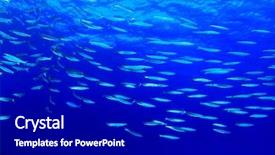  Presentation with blue water - Audience pleasing slide deck consisting of barracuda fish in blue water backdrop and a  colored foreground