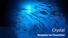  Presentation with fish - Audience pleasing presentation theme consisting of barracuda fish school silhouette against sea surface backdrop and a ocean colored foreground
