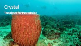  Presentation with divers - Beautiful presentation design featuring barrel sponge and scuba divers backdrop and a teal colored foreground