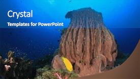  Presentation with coral reef - Amazing slide deck having barrel sponge coral on underwater backdrop and a teal colored foreground