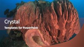  Presentation with coral reef - Beautiful slide set featuring barrel sponge on coral reef backdrop and a tawny brown colored foreground