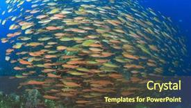  Presentation with aquaculture full of sea fish - Audience pleasing PPT theme consisting of barrier island - fish coral reef sea ocean backdrop and a  colored foreground