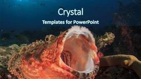  Presentation with omega 3 fish oils - Audience pleasing PPT theme consisting of barrier island - scorpionfish fish mouth open yawning backdrop and a ocean colored foreground