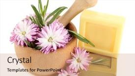  Presentation with natural soap - Amazing PPT theme having bars of natural soap and wooden mortar with fresh herbs and flowers isolated on white backdrop and a coral colored foreground