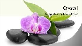  Presentation with spirituality zen meditation stone - PPT layouts with basalt stones isolated on white background and a soft green colored foreground