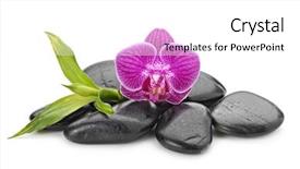  Presentation with zen stones - Cool new slide set with basalt stones orchid and bamboo backdrop and a white colored foreground