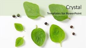  Presentation with oregano - Cool new theme with gullfoss waterfall wonderful landscape golden circle iceland backdrop and a tawny brown colored foreground