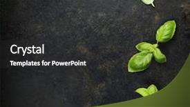  Presentation with rustic - Beautiful PPT theme featuring basil leaves on darc rustic background background layout with free text space backdrop and a dark gray colored foreground