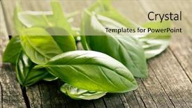  Presentation with old books on a wooden - Colorful slide deck enhanced with basil leaves on old wooden backdrop and a soft green colored foreground