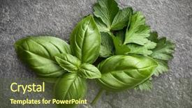  Presentation with sweet basil - Colorful slide set enhanced with basil leaves over black stone backdrop and a tawny brown colored foreground