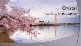  Presentation with usa - Cool new slide set with basins - washington dc usa backdrop and a lemonade colored foreground