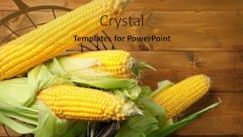  Presentation with corn cobs - Slides featuring basket-and-fresh-corn-cobs background and a gold colored foreground