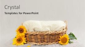  Presentation with sunflower - Cool new PPT layouts with basket for baby decorated with sunflower backdrop and a light gray colored foreground