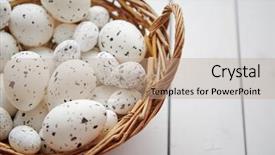  Presentation with chicken poultry farm white layer - Beautiful PPT layouts featuring basket of chicken and quail backdrop and a coral colored foreground