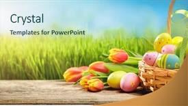  Presentation with white easter lily flowers - Presentation theme consisting of basket of easter eggs background and a sky blue colored foreground