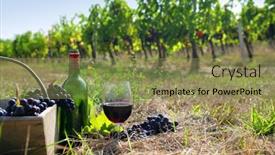  Presentation with bottle red wine - Cool new PPT theme with basket-of-grapes-glass backdrop and a gold colored foreground
