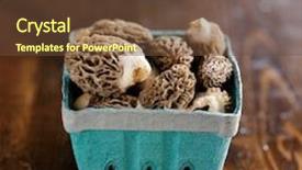  Presentation with moral - Audience pleasing presentation consisting of earthy tones - basket of moral mushrooms backdrop and a tawny brown colored foreground