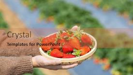  Presentation with strawberry - 