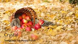  Presentation with autumn leaves - Slides having basket with apples on autumn leaves in the forest background and a yellow colored foreground