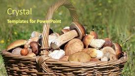  Presentation with grass - PPT layouts with basket-with-boletus-edulis background and a tawny brown colored foreground