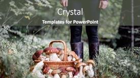  Presentation with mushrooms - Slide deck having basket-with-edible-white-mushrooms background and a gray colored foreground