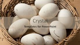  Presentation with fresh ginger root on white - PPT theme having basket-with-fresh-picked-white background and a coral colored foreground