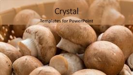  Presentation with button mushroom fresh mushroom - Colorful slide set enhanced with basket with fresh raw chestnut backdrop and a  colored foreground