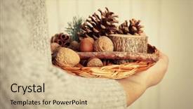  Presentation with wicker - Presentation theme consisting of basket with nuts and evergreen background and a soft green colored foreground