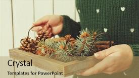  Presentation with nuts - Amazing presentation having basket with nuts and evergreen backdrop and a coral colored foreground