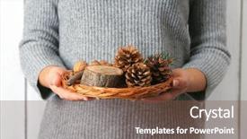  Presentation with wicker - PPT theme having basket with nuts and evergreen background and a tawny brown colored foreground