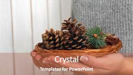  Presentation with edible nuts - Cool new theme with basket with nuts and evergreen backdrop and a  colored foreground