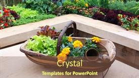  Presentation with plants - 