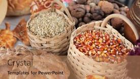  Presentation with maize - Slides having basket-with-wheat-and-maize background and a  colored foreground