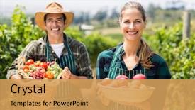  Presentation with vineyard - Amazing presentation theme having baskets of vegetables and fruit backdrop and a yellow colored foreground