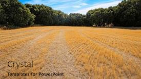  Presentation with base ball field - PPT theme consisting of basque-country-province-of-guipuzcoa background and a  colored foreground