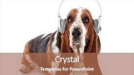  Presentation with basset hound - Audience pleasing theme consisting of basset hound dog in headphones backdrop and a coral colored foreground