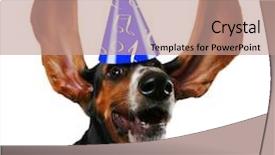  Presentation with basset hound - Beautiful PPT layouts featuring woman showing something on the palm of her hand backdrop and a cream colored foreground