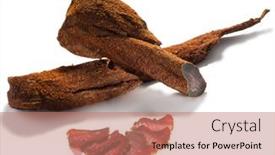  Presentation with beef - Presentation theme consisting of basturma-beef-cured-and-spice background and a coral colored foreground