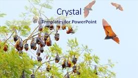  Presentation with islam famous mosque in turkish - Audience pleasing presentation theme consisting of bat - group of a flying foxes backdrop and a sky blue colored foreground