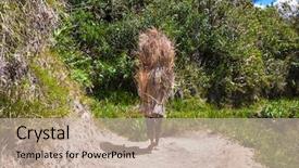  Presentation with rice - Colorful PPT layouts enhanced with batad central luzon on philipines backdrop and a soft green colored foreground