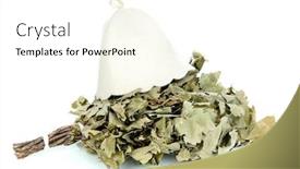  Presentation with oak - Presentation with bath broom of oak isolated on white background and a white colored foreground