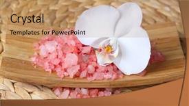  Presentation with minerals - Amazing PPT layouts having bath minerals and orchid backdrop and a coral colored foreground