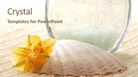  Presentation with seashell - Audience pleasing PPT layouts consisting of bath salt seashell and flowers on towel backdrop and a cream colored foreground