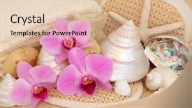  Presentation with sea shells - Theme consisting of bathroom accessories with orchid flowers and sea shells over mottled cream background background and a lemonade colored foreground